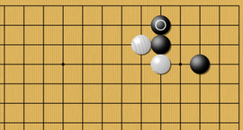 weiqi Kitani Minoru